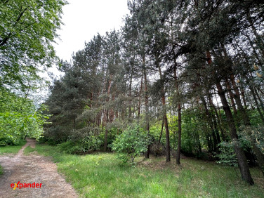 Działka Częstochowa