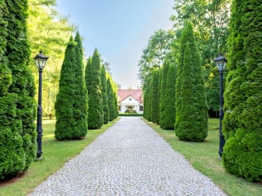 Dom wolnostojący sprzedaż