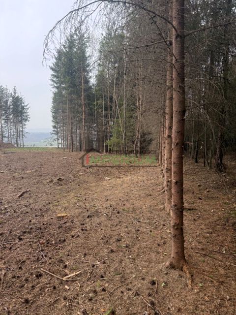 Działka budowlana Librantowa