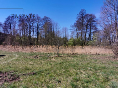 Działka budowlana Wola Gołkowska