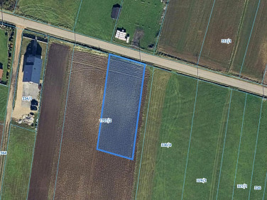 Działka budowlana Pińczyce