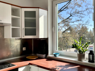 Mieszkanie apartamentowiec Poznań