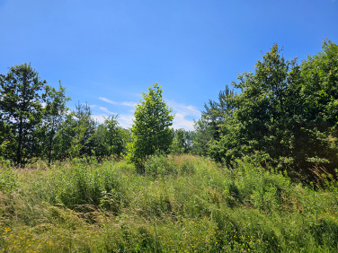 Działka budowlana Dobroń