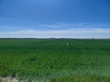 Działka budowlana sprzedam