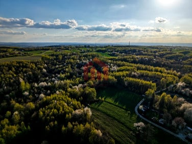 Działka Kraczkowa