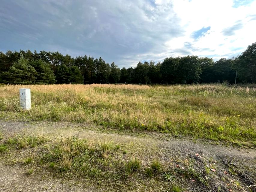 Działka budowlana Dąbie