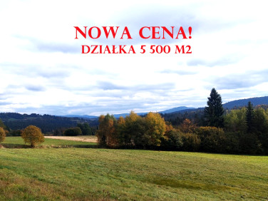 Działka rolno-leśna Koniaków