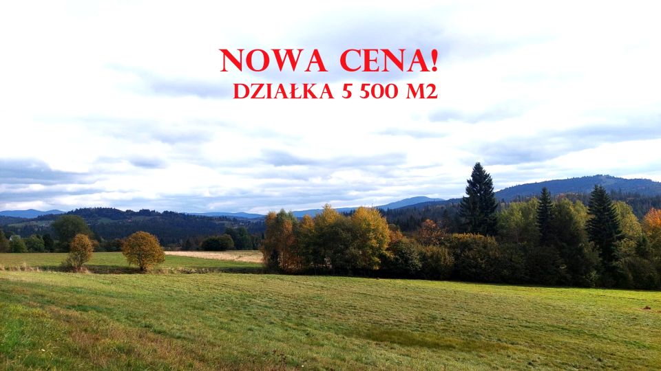 Działka rolno-leśna Koniaków