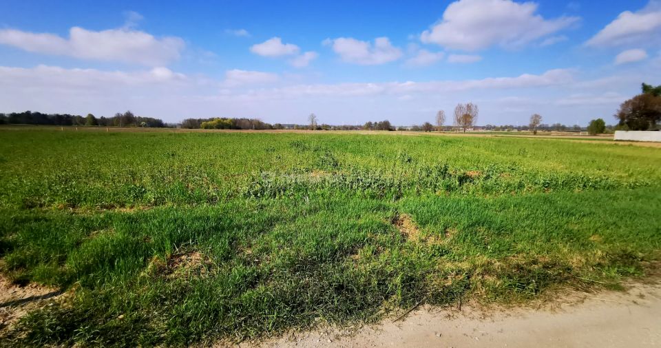 Działka budowlana Krasowice