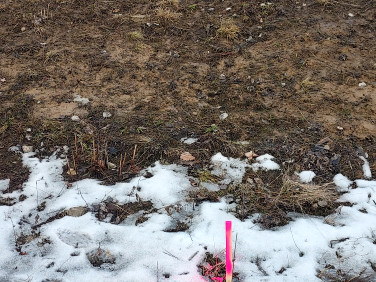 Działka budowlano-rolna Chorągwica