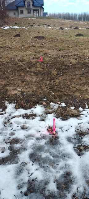 Działka budowlano-rolna Chorągwica