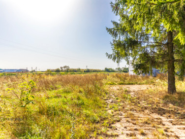 Działka usługowa Niemce