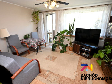 Mieszkanie Zielona Góra