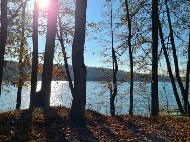 Działka budowlana Grzybowo