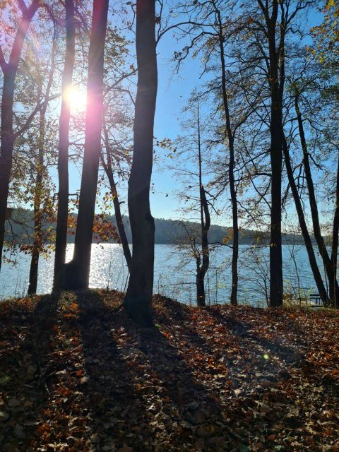 Działka budowlana Grzybowo