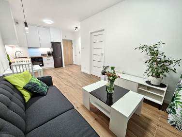 Mieszkanie Chorzów sprzedaż