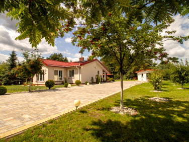 Dom Działki