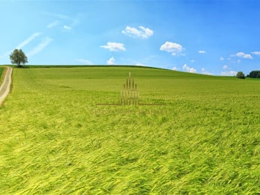 Działka rolna sprzedam