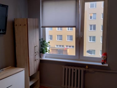 Mieszkanie przy lesie