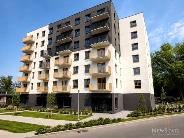 Lokal Kraków