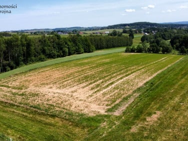 Działka budowlana Sławkowice