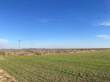 Działka rolna Godzieszowa