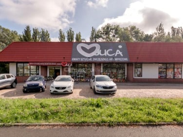 Lokal Łódź