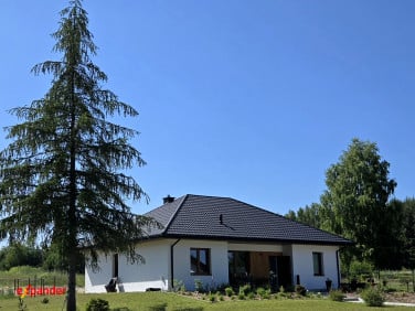 Dom Topolów