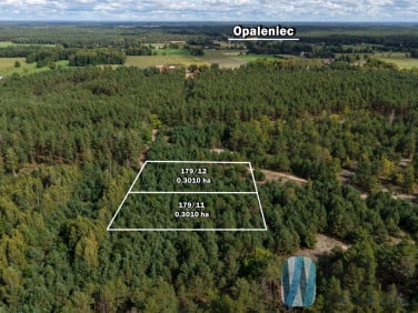 Działka rolna Opaleniec