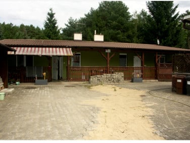 Dom Lubiatów