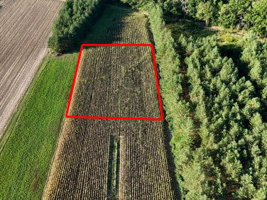 Działka budowlano-rolna sprzedam