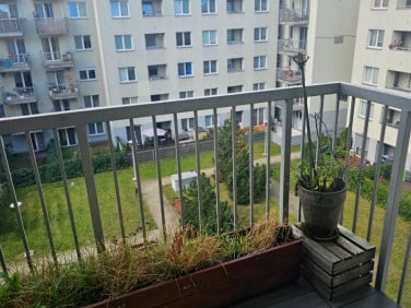 Mieszkanie Kraków wynajem
