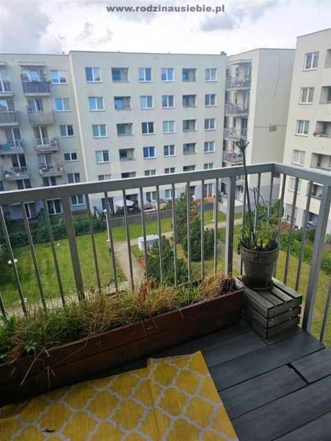 Mieszkanie Kraków wynajem
