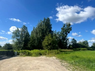 Działka Kryniczno