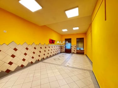 Lokal Świdnica wynajem