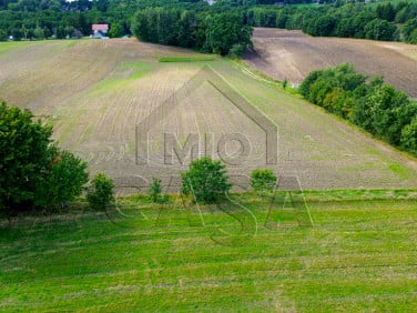 Działka Kielno
