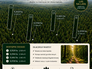 Działka leśna Poniatowicze sprzedam