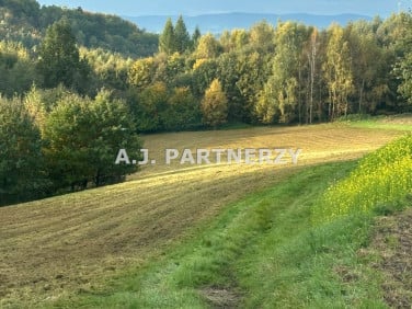Działka budowlana Grajów