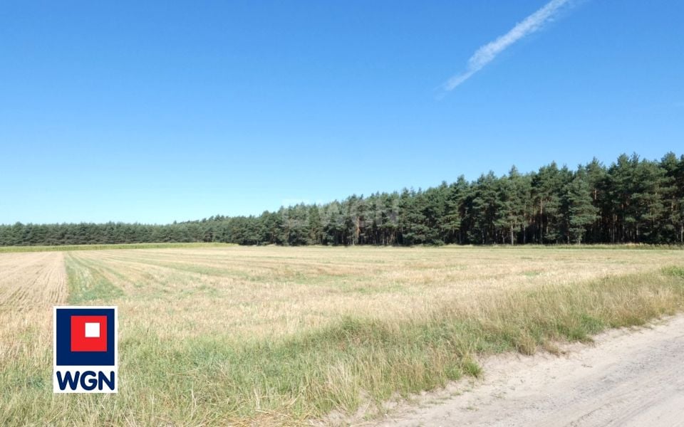Działka Sieroszewice