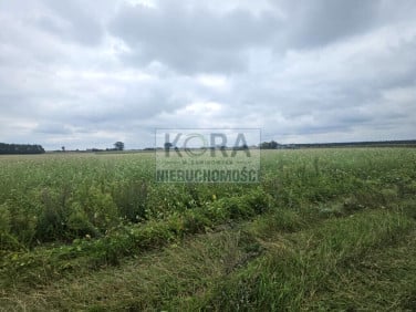 Działka siedliskowa Gościeszynek