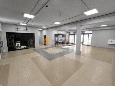 Lokal Legnica wynajem
