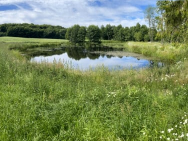 Działka budowlana Skarszewy sprzedam