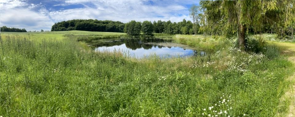 Działka budowlana Skarszewy sprzedam