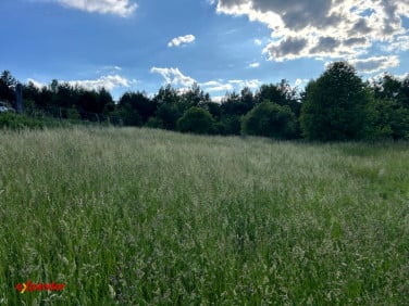 Działka Częstochowa
