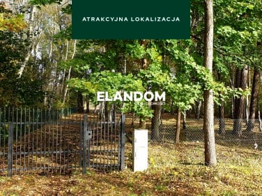 Działka Wiązowna Kościelna