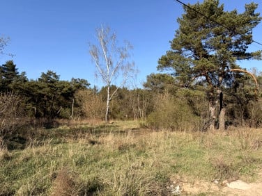Działka inna Warszawa
