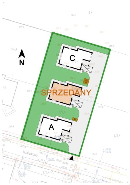 Zdjęcie 3