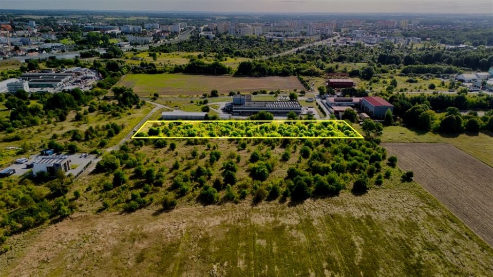 Zdjęcie 3