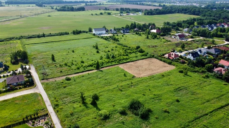 Zdjęcie 3