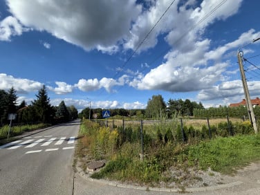 Działka usługowa Wiązowna